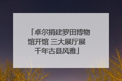 卓尔捐建罗田博物馆开馆 三大展厅展千年古县风雅