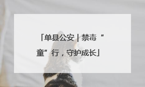 单县公安｜禁毒“童”行，守护成长