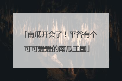 南瓜开会了！平谷有个可可爱爱的南瓜王国