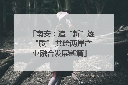 南安：追“新”逐“质” 共绘两岸产业融合发展新篇
