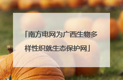 南方电网为广西生物多样性织就生态保护网
