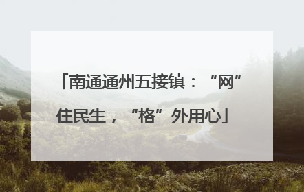 南通通州五接镇：“网”住民生，“格”外用心