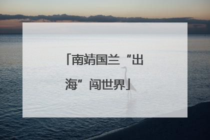 南靖国兰“出海”闯世界