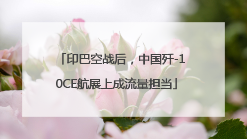 印巴空战后，中国歼-10CE航展上成流量担当