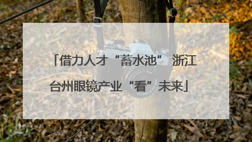 借力人才“蓄水池” 浙江台州眼镜产业“看”未来