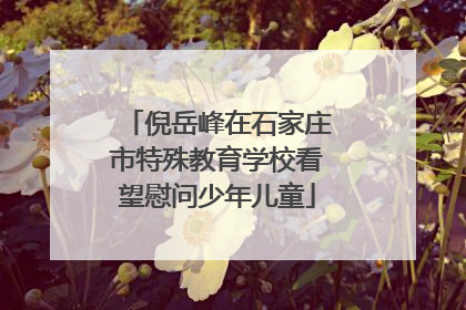 倪岳峰在石家庄市特殊教育学校看望慰问少年儿童