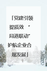 党建引领提质效 “局港联动”护航企业合规发展