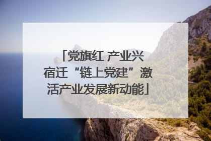 党旗红 产业兴 宿迁“链上党建”激活产业发展新动能