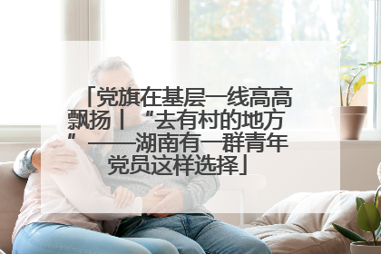 党旗在基层一线高高飘扬丨“去有村的地方”——湖南有一群青年党员这样选择