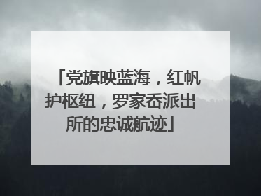 党旗映蓝海，红帆护枢纽，罗家岙派出所的忠诚航迹