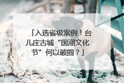入选省级案例！台儿庄古城“国潮文化节”何以破圈？