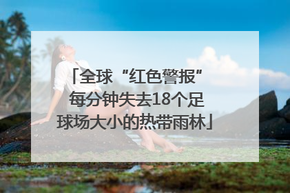 全球“红色警报”  每分钟失去18个足球场大小的热带雨林