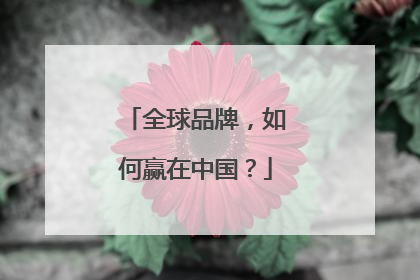 全球品牌，如何赢在中国？