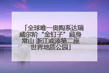 全球唯一奥陶系达瑞威尔阶“金钉子”藏身常山 浙江或添第二座世界地质公园