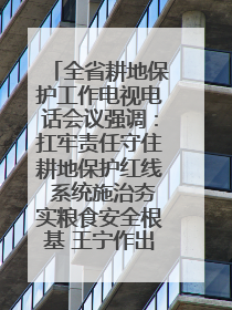 全省耕地保护工作电视电话会议强调：扛牢责任守住耕地保护红线 系统施治夯实粮食安全根基 王宁作出批示 王予波出席并讲话