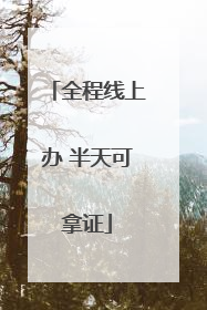 全程线上办 半天可拿证
