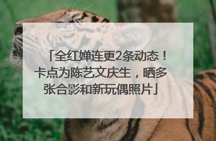 全红婵连更2条动态！卡点为陈艺文庆生，晒多张合影和新玩偶照片
