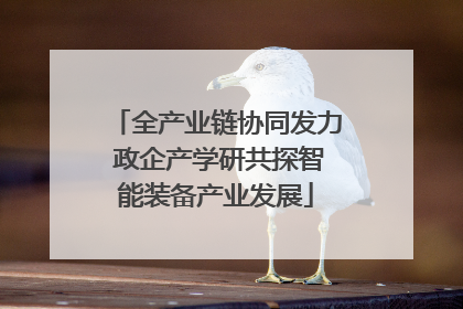 全产业链协同发力 政企产学研共探智能装备产业发展