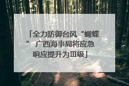 全力防御台风“蝴蝶” 广西海事局将应急响应提升为Ⅲ级