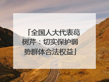 全国人大代表葛树芹：切实保护弱势群体合法权益