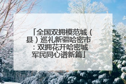 全国双拥模范城（县）巡礼新疆哈密市：双拥花开哈密城 军民同心谱新篇