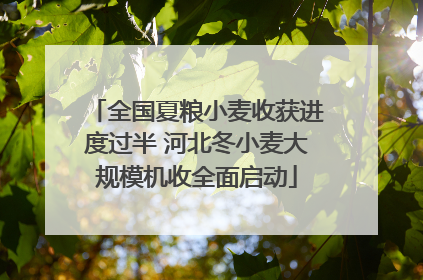 全国夏粮小麦收获进度过半 河北冬小麦大规模机收全面启动