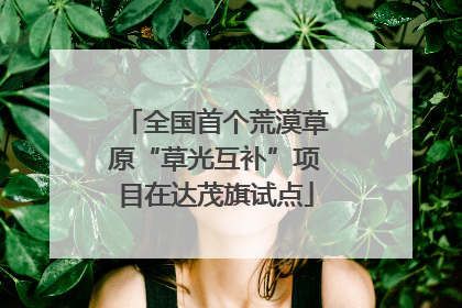 全国首个荒漠草原“草光互补”项目在达茂旗试点