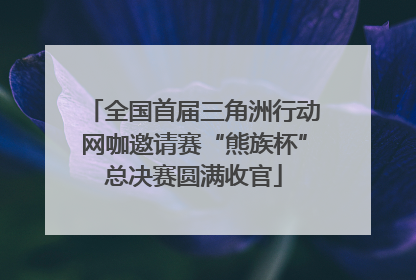 全国首届三角洲行动网咖邀请赛“熊族杯”总决赛圆满收官