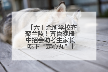 六十余所学校齐聚兰陵！齐鲁晚报中招会助考生家长吃下“定心丸”
