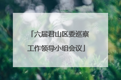 六届君山区委巡察工作领导小组会议