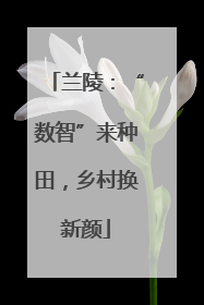 兰陵：“数智”来种田，乡村换新颜