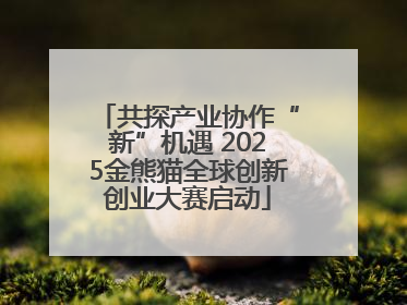 共探产业协作“新”机遇 2025金熊猫全球创新创业大赛启动