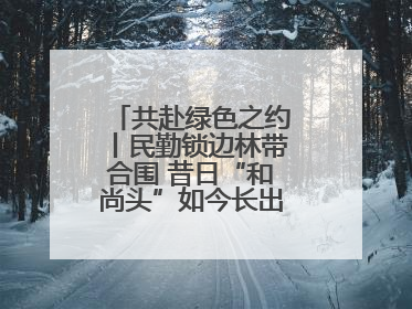 共赴绿色之约丨民勤锁边林带合围 昔日“和尚头”如今长出了“披肩发”