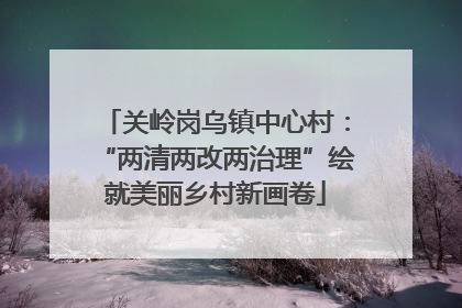 关岭岗乌镇中心村：“两清两改两治理”绘就美丽乡村新画卷