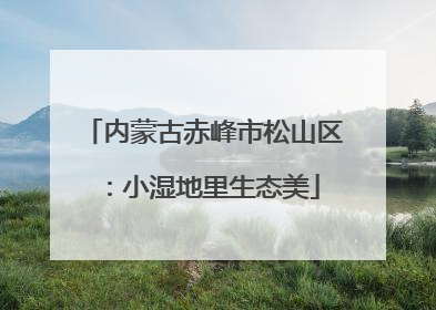内蒙古赤峰市松山区：小湿地里生态美