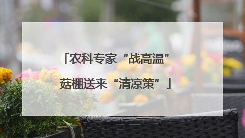 农科专家“战高温” 菇棚送来“清凉策”