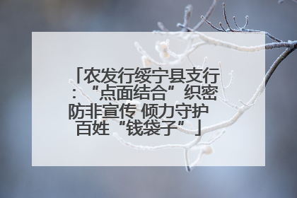 农发行绥宁县支行：“点面结合”织密防非宣传 倾力守护百姓“钱袋子”