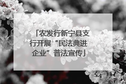 农发行新宁县支行开展“民法典进企业”普法宣传