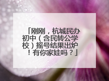 刚刚，杭城民办初中（含民转公学校）摇号结果出炉！有你家娃吗？