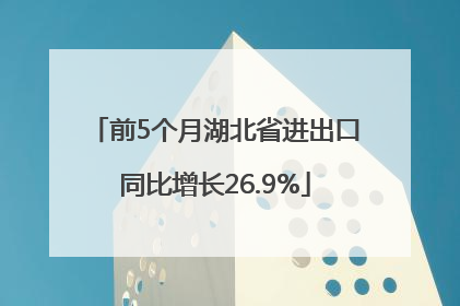 前5个月湖北省进出口同比增长26.9%