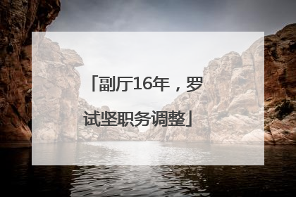 副厅16年，罗试坚职务调整