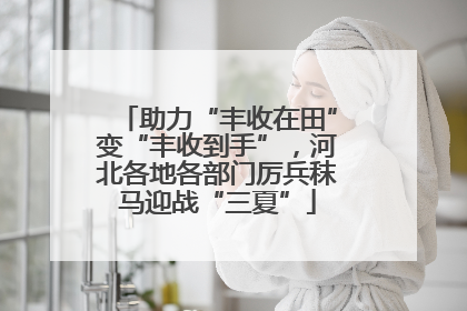 助力“丰收在田”变“丰收到手”，河北各地各部门厉兵秣马迎战“三夏”
