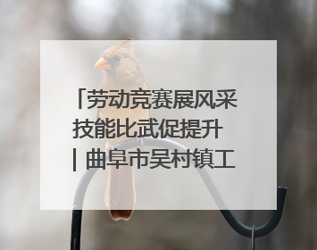 劳动竞赛展风采 技能比武促提升｜曲阜市吴村镇工会组织开展果树套袋技能竞赛