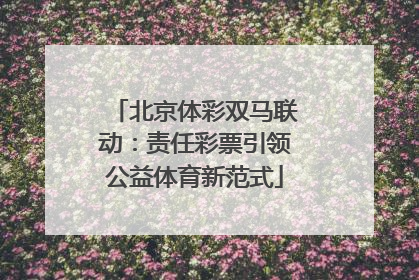 北京体彩双马联动：责任彩票引领公益体育新范式