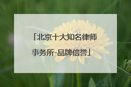 北京十大知名律师事务所-品牌信誉