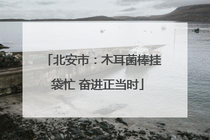 北安市：木耳菌棒挂袋忙 奋进正当时