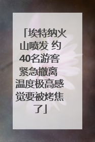 埃特纳火山喷发 约40名游客紧急撤离 温度极高感觉要被烤焦了