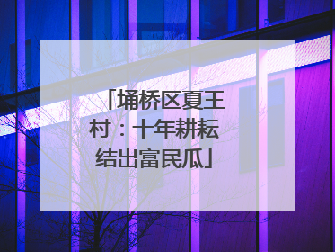 埇桥区夏王村：十年耕耘结出富民瓜