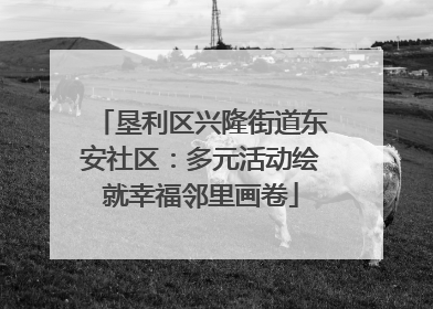 垦利区兴隆街道东安社区：多元活动绘就幸福邻里画卷