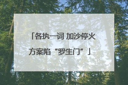 各执一词 加沙停火方案陷“罗生门”